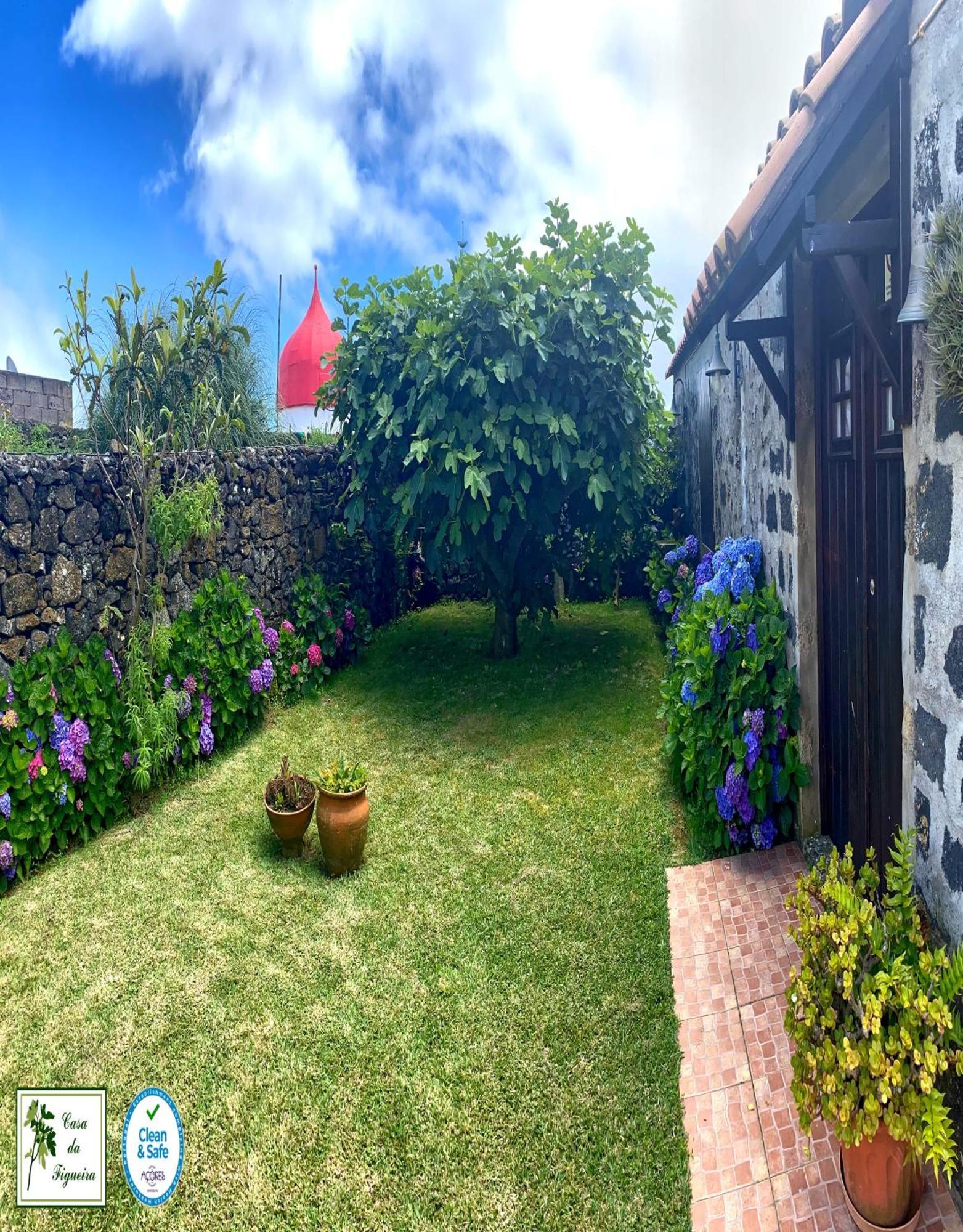 Casa de Férias Casa Da Figueira *